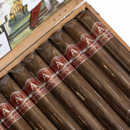 Aladino Cameroon Gordo Cigar - Box of 20